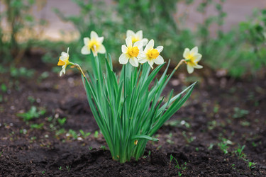 Similar image 22067414