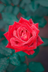 Similar image 22067418