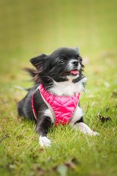 Similar image 22067419