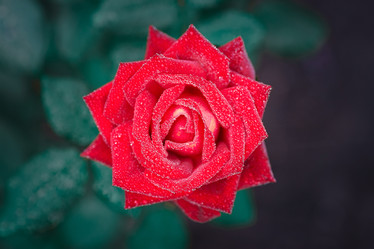 Similar image 22067424