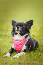 Similar image 22067427