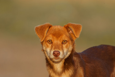 Similar image 22067429