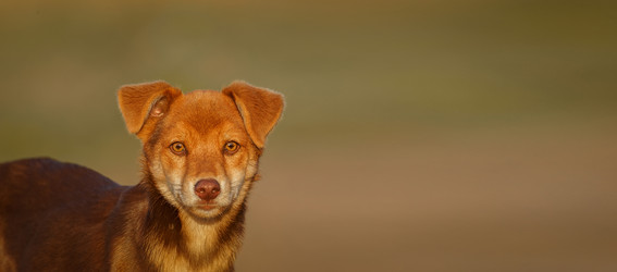 Similar image 22067433