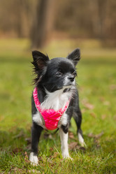 Similar image 22067434