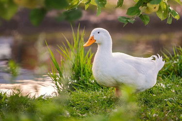 Similar image 22080478