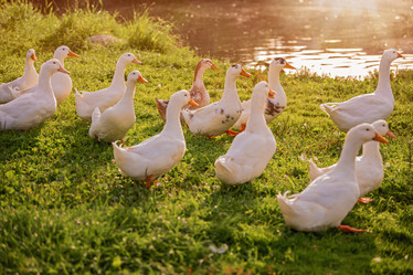 Similar image 22080684