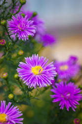 Similar image 22067438