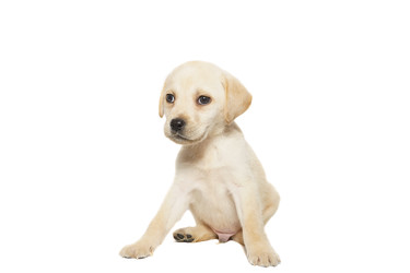 Similar image 22067448