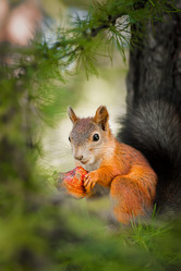 Similar image 22067458