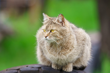 Similar image 22067464