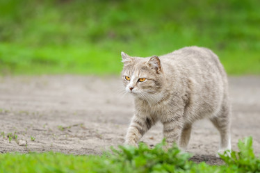 Similar image 22067465