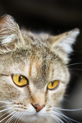 Similar image 22067466