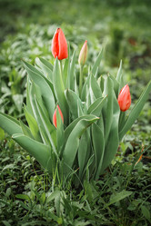 Similar image 22067467