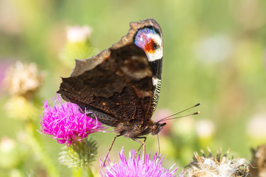 Similar image 22067469