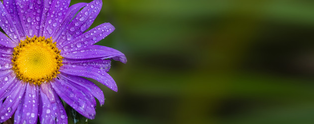 Similar image 22067737