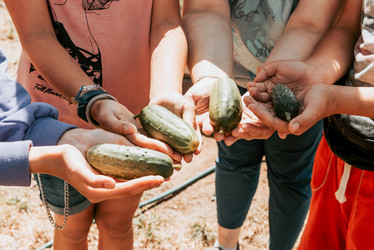 Similar image 22077468