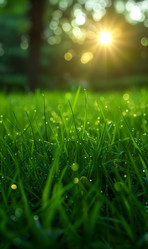 Similar image 22068789