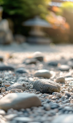 Similar image 22068809