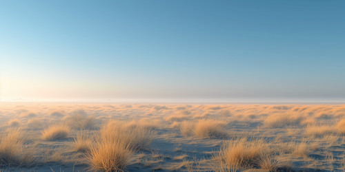 Similar image 22068537