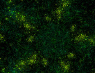 Similar image 22069006