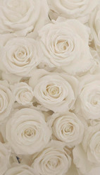 Similar image 22080480