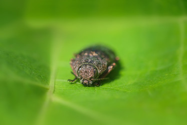 Similar image 22067739