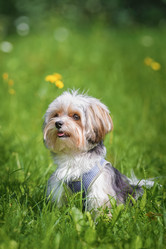 Similar image 22067740