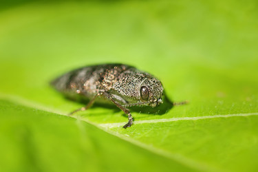 Similar image 22067741