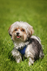 Similar image 22067743