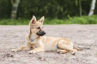 Similar image 22067750