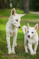 Similar image 22067751