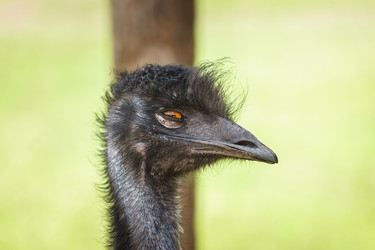 Similar image 22067758