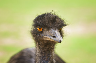 Similar image 22067760