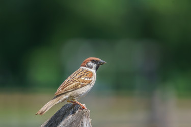 Similar image 22067763