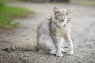 Similar image 22067768