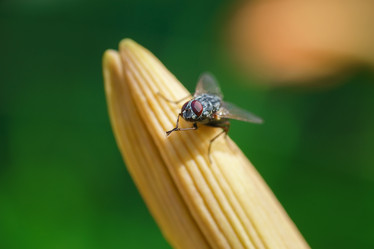 Similar image 22067770