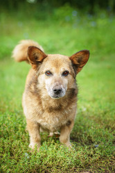 Similar image 22067775