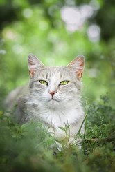 Similar image 22067776