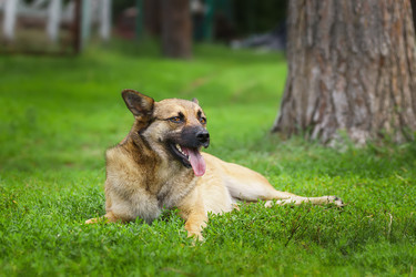 Similar image 22067780