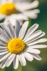 Similar image 22068370