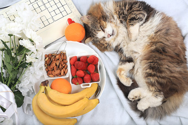 Similar image 22067174