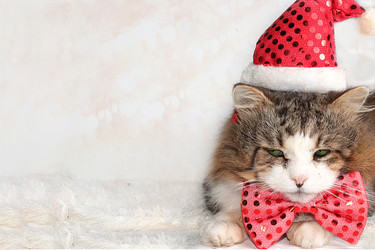 Similar image 22067176