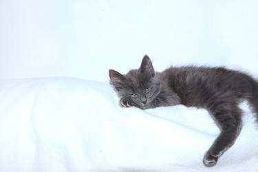 Similar image 22067177