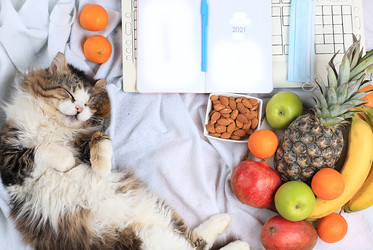 Similar image 22067178