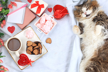 Similar image 22067180