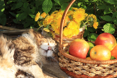 Similar image 22067182