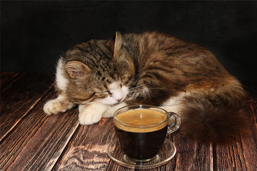 Similar image 22067183