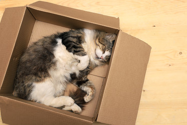 Similar image 22067186