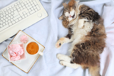 Similar image 22067187