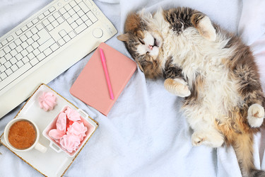 Similar image 22067196